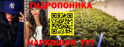 PSILOCYBIN Волжск