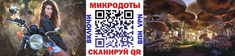 Псилоцибиновые грибы Psilocybine cubensis  Ангарск 