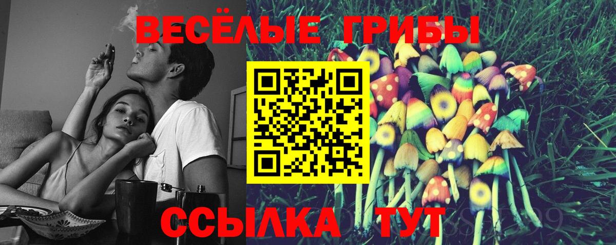 Галлюциногенные грибы Cubensis  Вход с VPN  Ангарск 