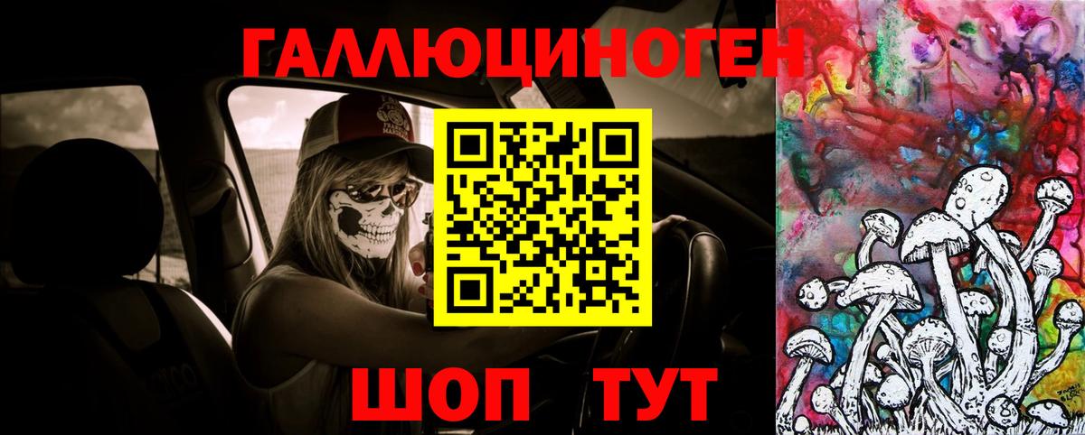 Псилоцибиновые грибы Psilocybine cubensis Ангарск