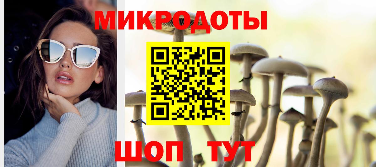 Псилоцибиновые грибы GOLDEN TEACHER Ангарск